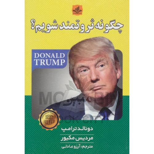چگونه ثروتمند شویم دونالد ترامپ مردیس مکیور(الماس پارسیان)