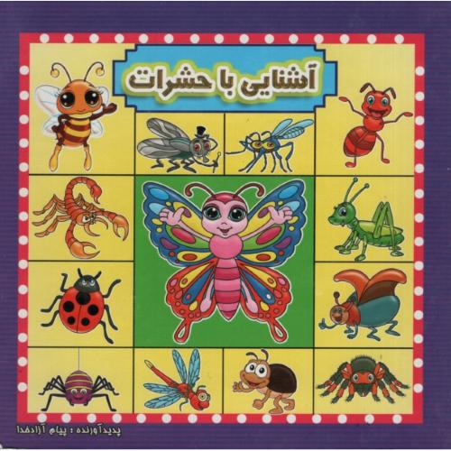 مقوایی آشنایی با حشرات(آئینه دانش)