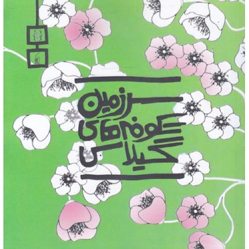 رنگ آمیزی پیشرفته سرزمین شکوفه های گیلاس(نقره فام کیان پارس)