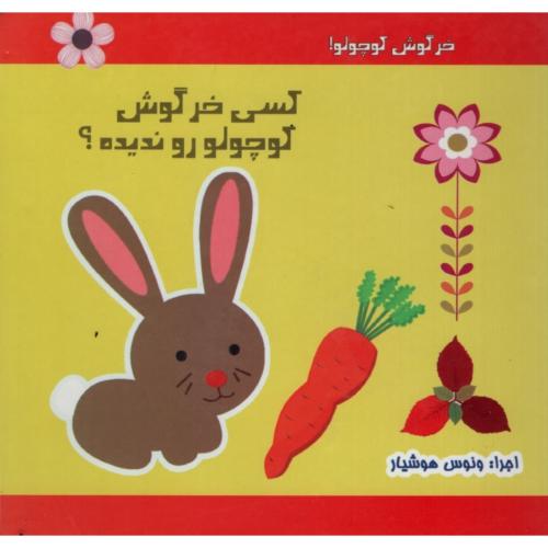 کسی خرگوش کوچولو رو ندیده(نارنج)