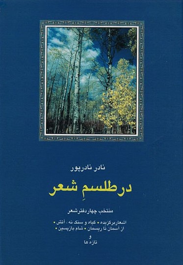 در طلسم شعر نادر نادرپور(سخن)