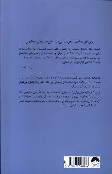 کتاب فروشی گمشده ایوی وودز(میلکان)