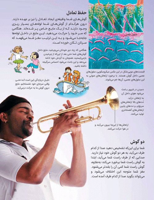 دانشنامه کوچک من بدن انسان فیونا چندلر(میچکا)