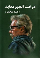 درخت انجیر معابد 2 جلدی احمد محمود (معین)