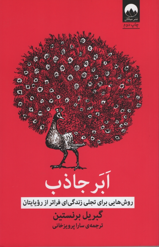 ابر جاذب گبریل برنستین(میلکان)
