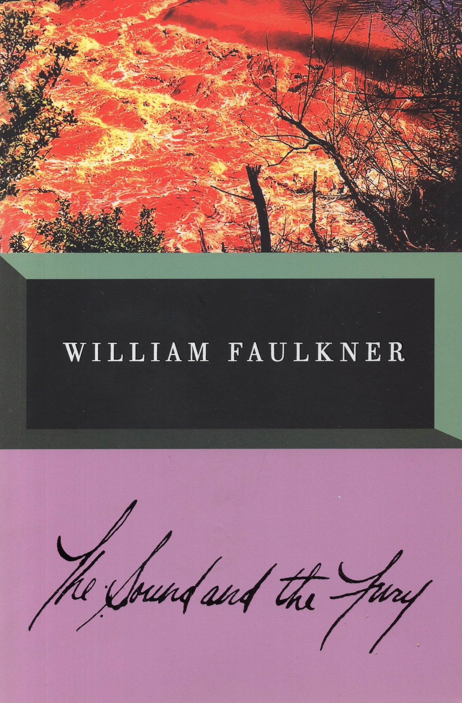 The Sound And The Fury(vintage International)
