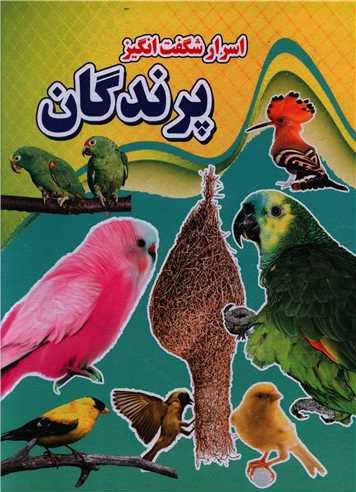 اسرار شگفت انگیز پرندگان(نارنج)