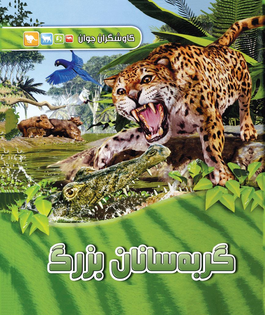 کاوشگران جوان گربه سانان بزرگ(آبشن)