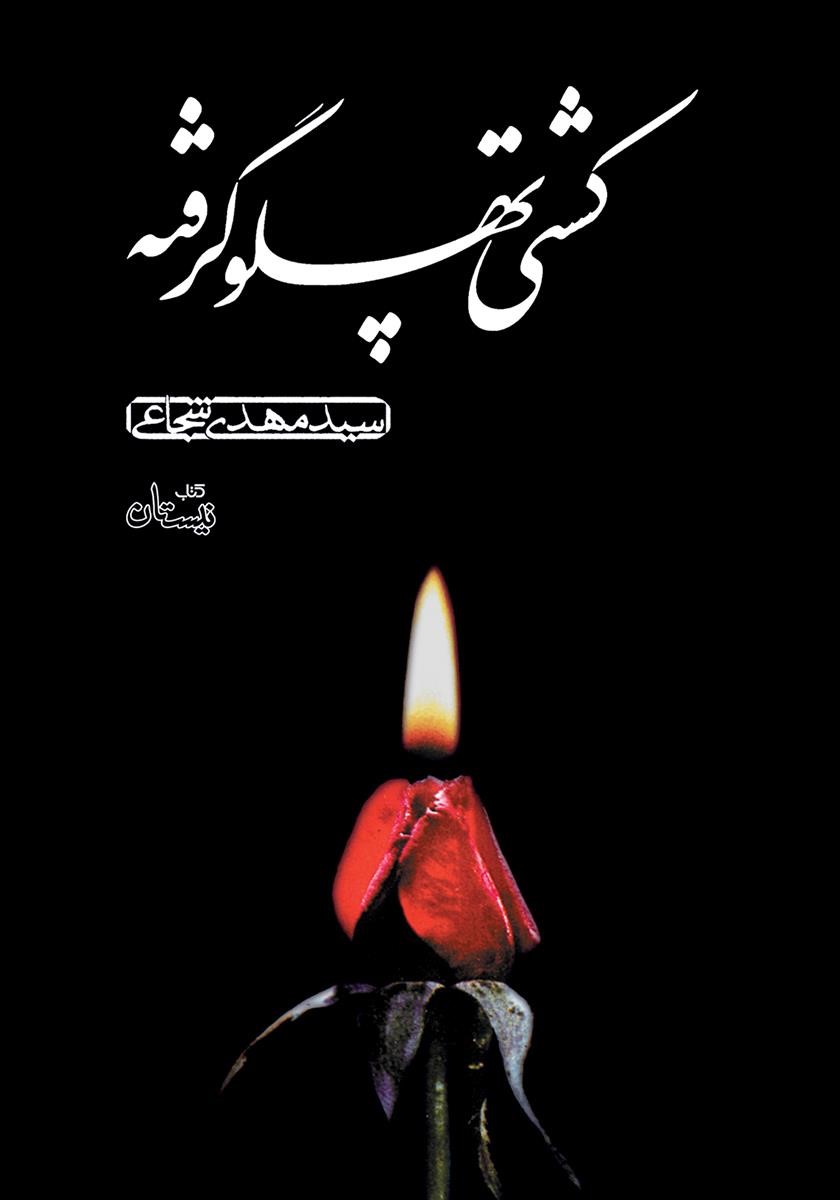 کشتی پهلو گرفته سید مهدی شجاع(نیستان)