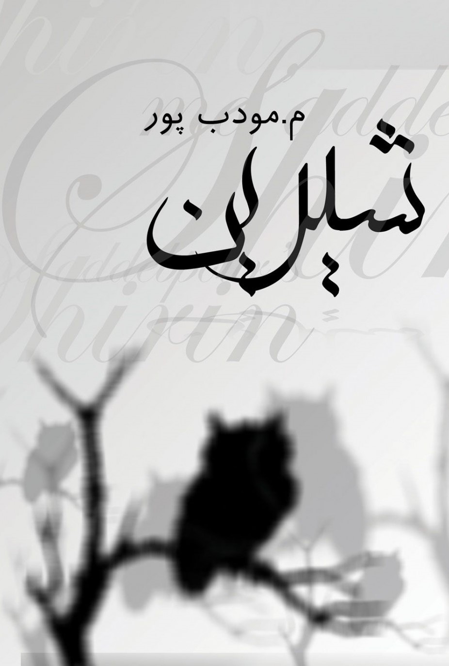 شیرین م مودب پور(نیریز)